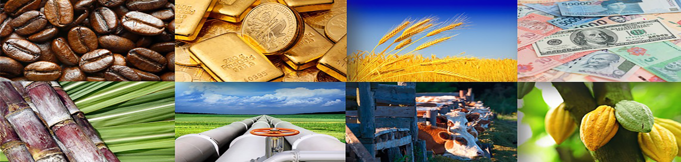 Eco-Friendly Sourcing & Packaging