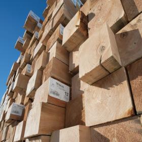 Forest Products (Timber)